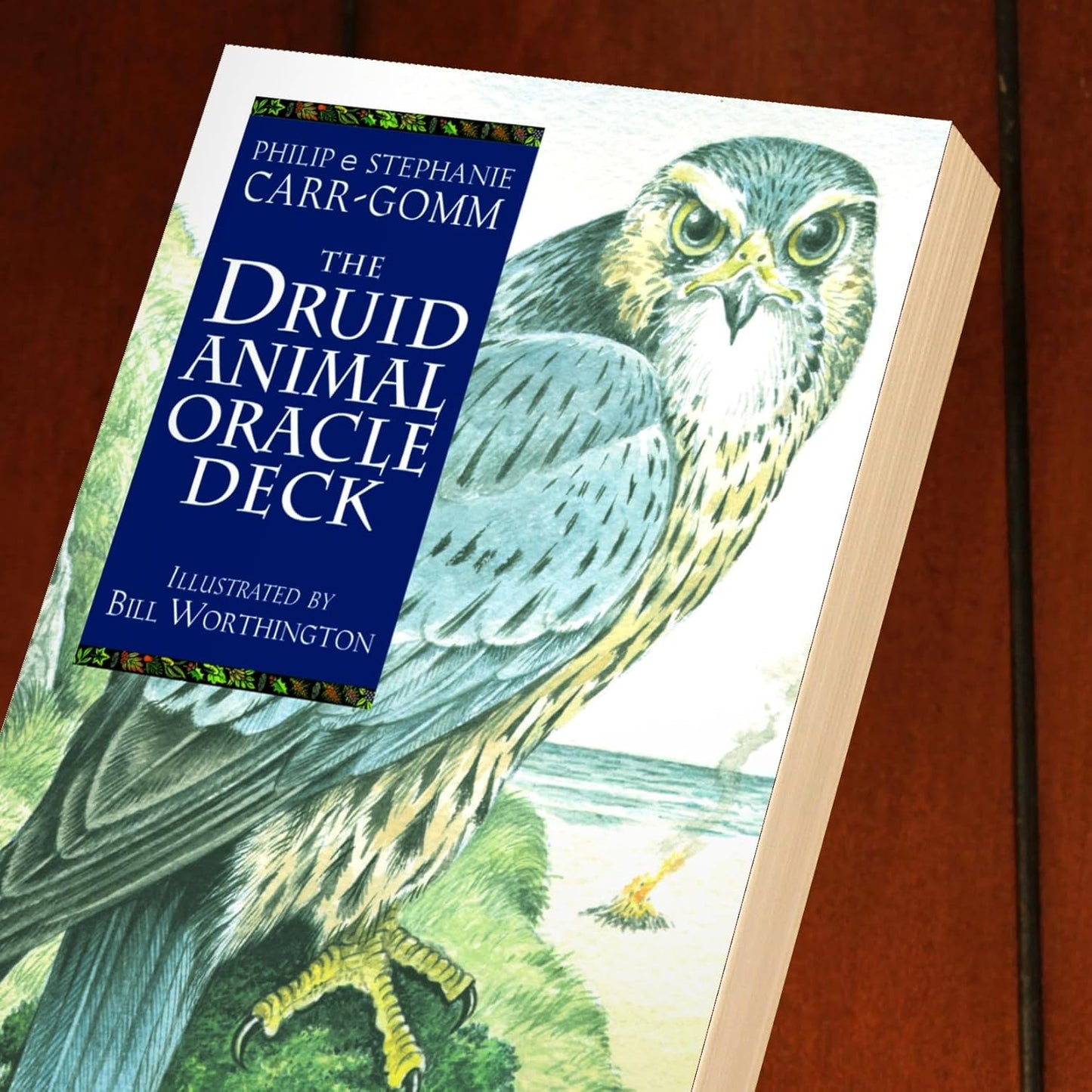 The Druid Animal Oracle - Phillip & Stephanie Carr - Gomm
