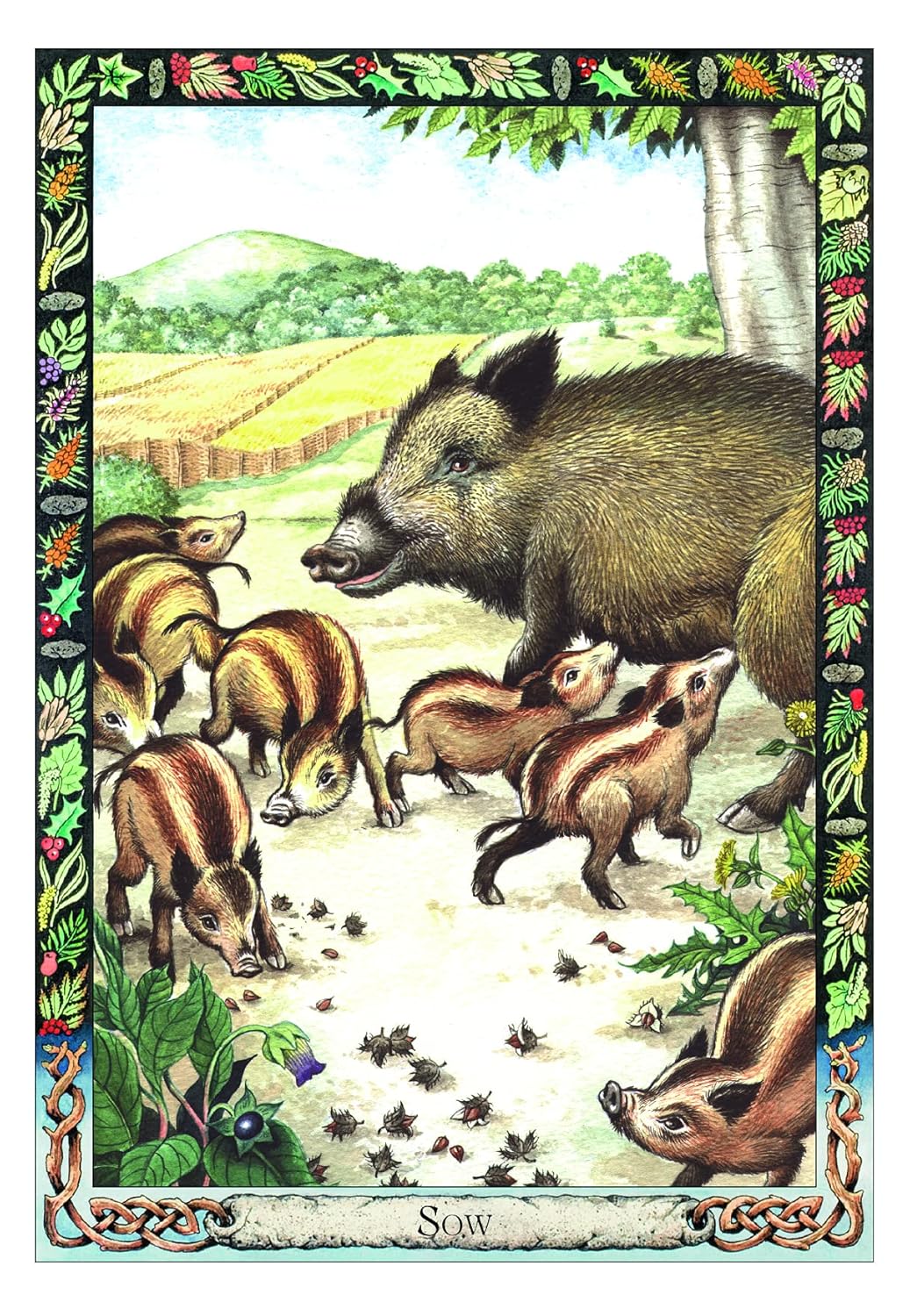 The Druid Animal Oracle - Phillip & Stephanie Carr - Gomm