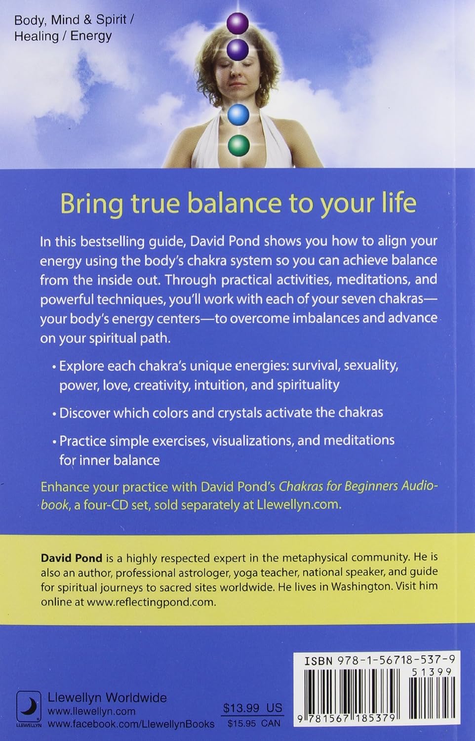 Chakras For Beginners - David Pond