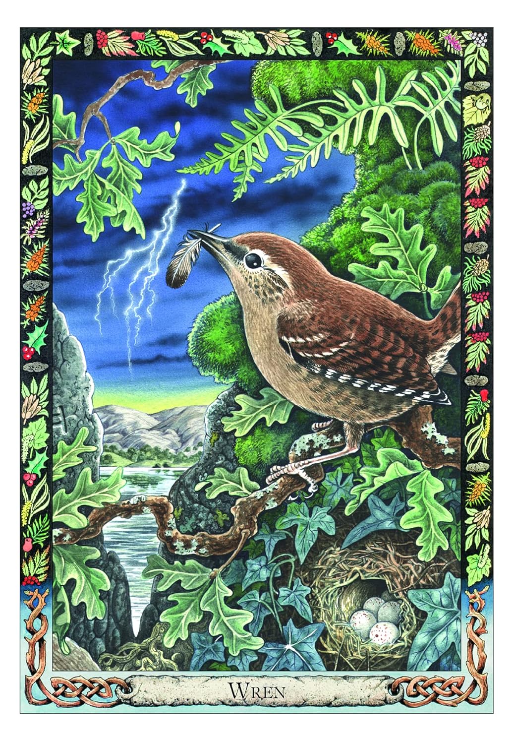 The Druid Animal Oracle - Phillip & Stephanie Carr - Gomm