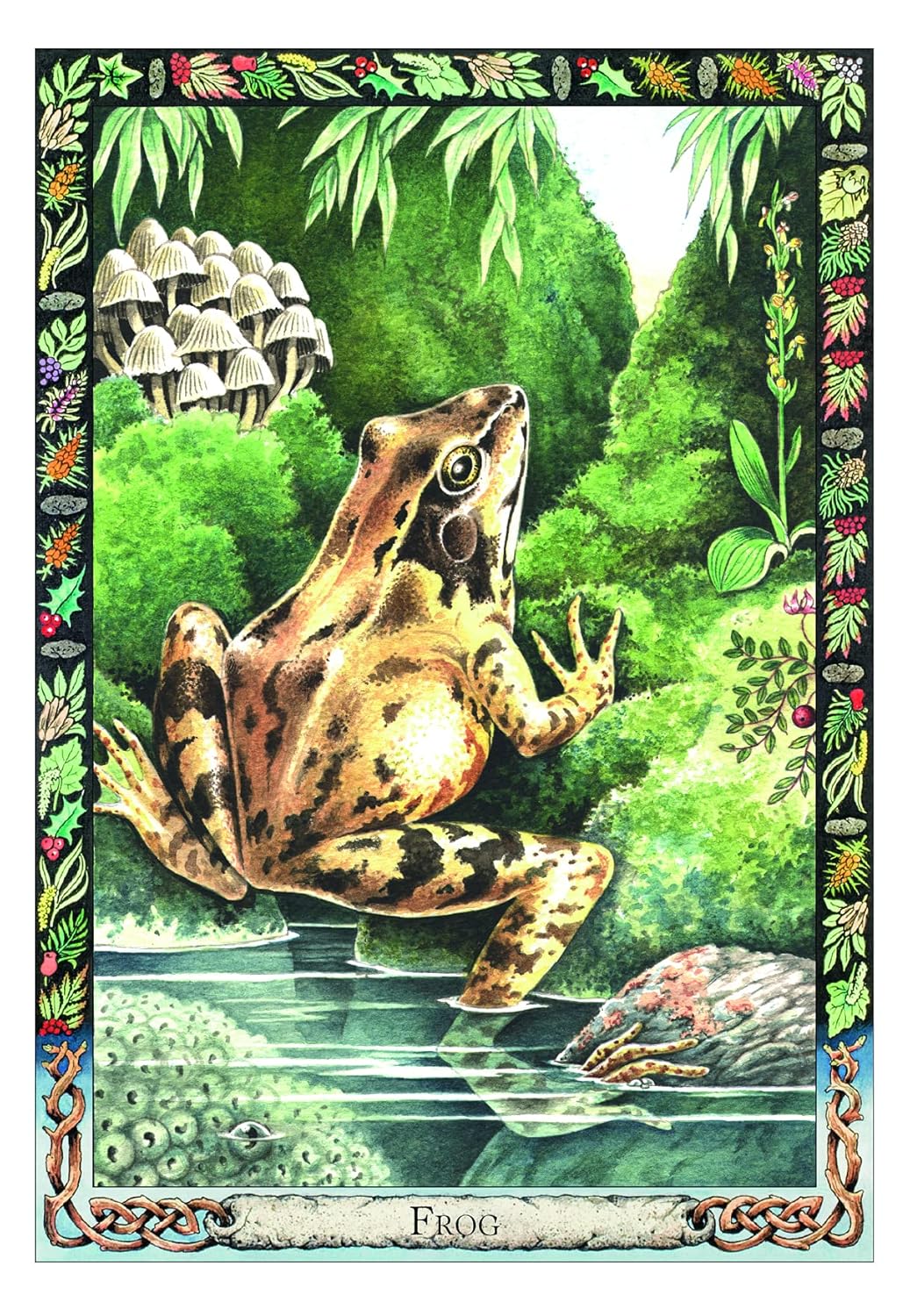 The Druid Animal Oracle - Phillip & Stephanie Carr - Gomm