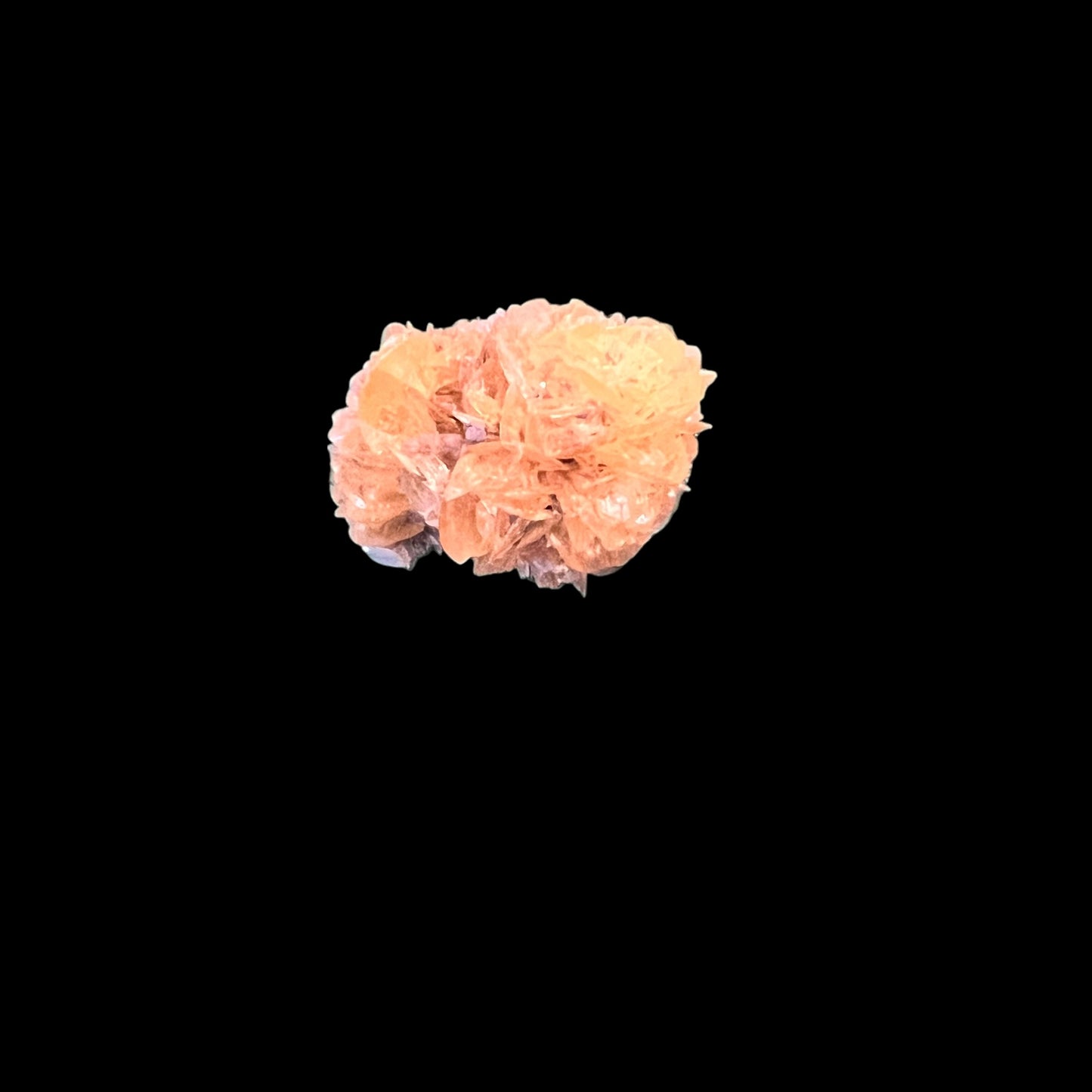 Selenite rosette - Red river Floodway