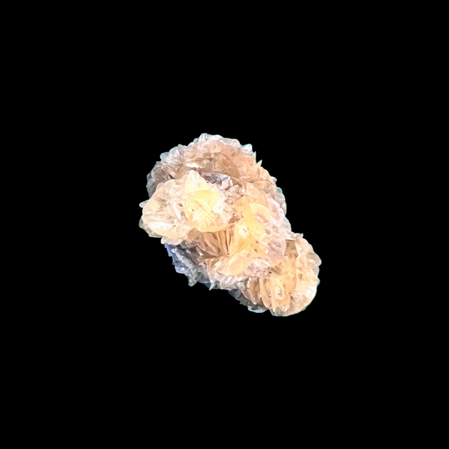 Selenite rosette - Red river Floodway