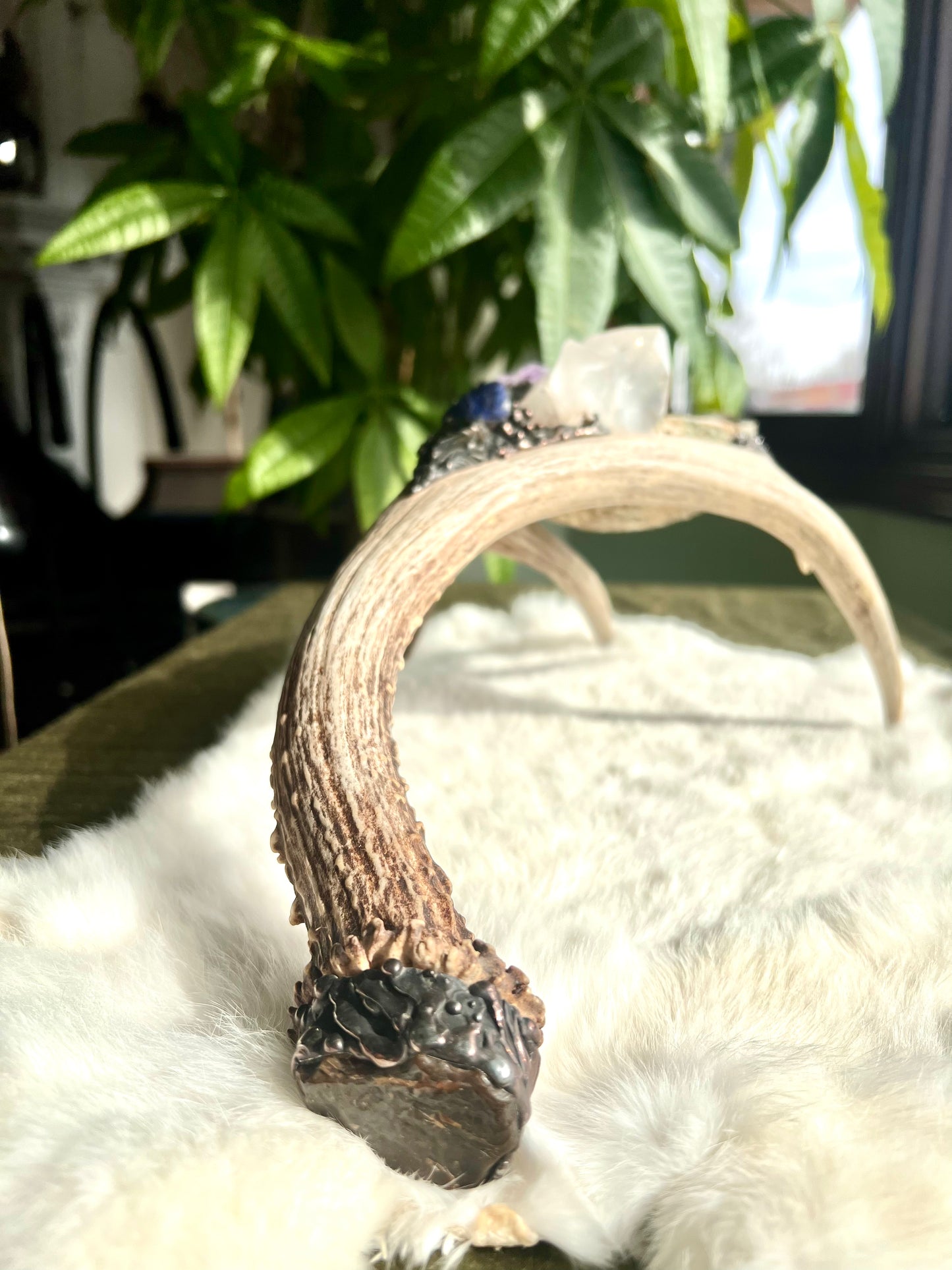 Abalone Shell, Full Deer Antler Large - Shungite, sodalite laser amethyst - Smudge Bowl
