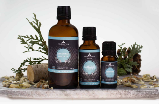 Juniper - Essential Oil