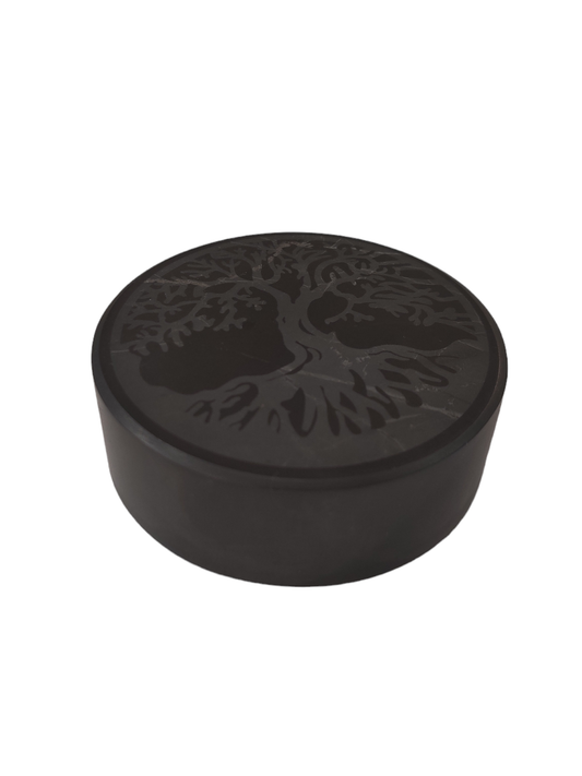 Shungite - Etched, Puck