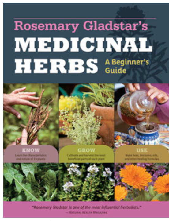 Medicinal Herbs - A beginners Guide