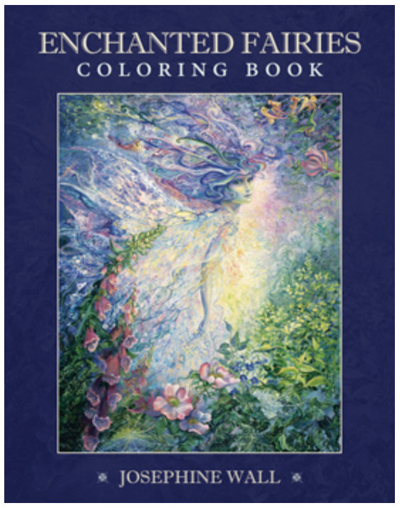 Enchanted Fairies Coloring Book
