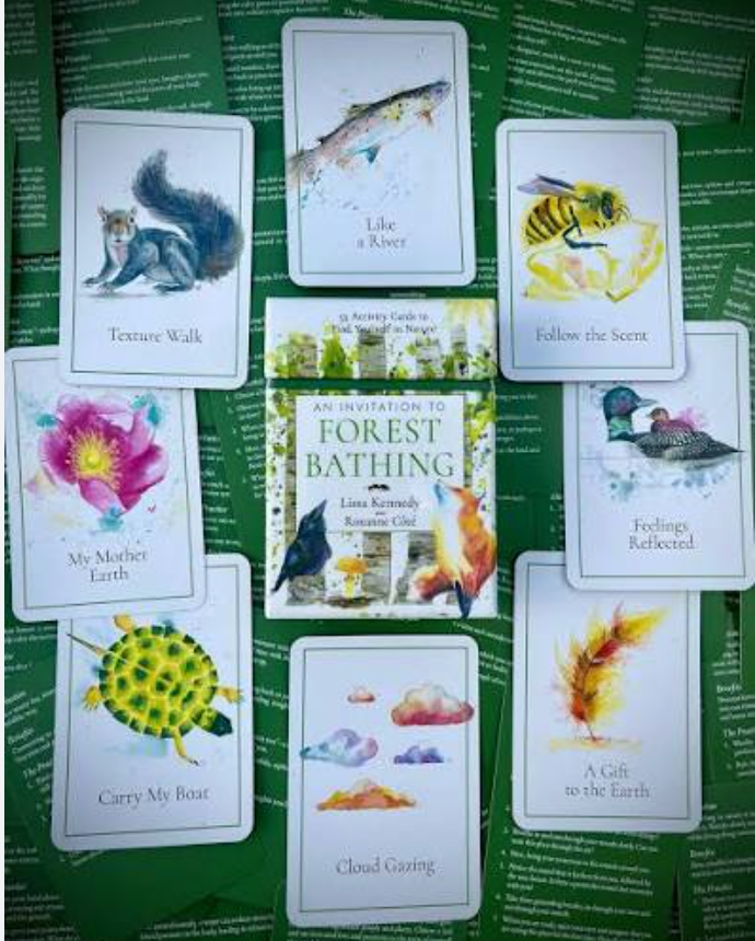 An Invitation to Forest Bathing Cards