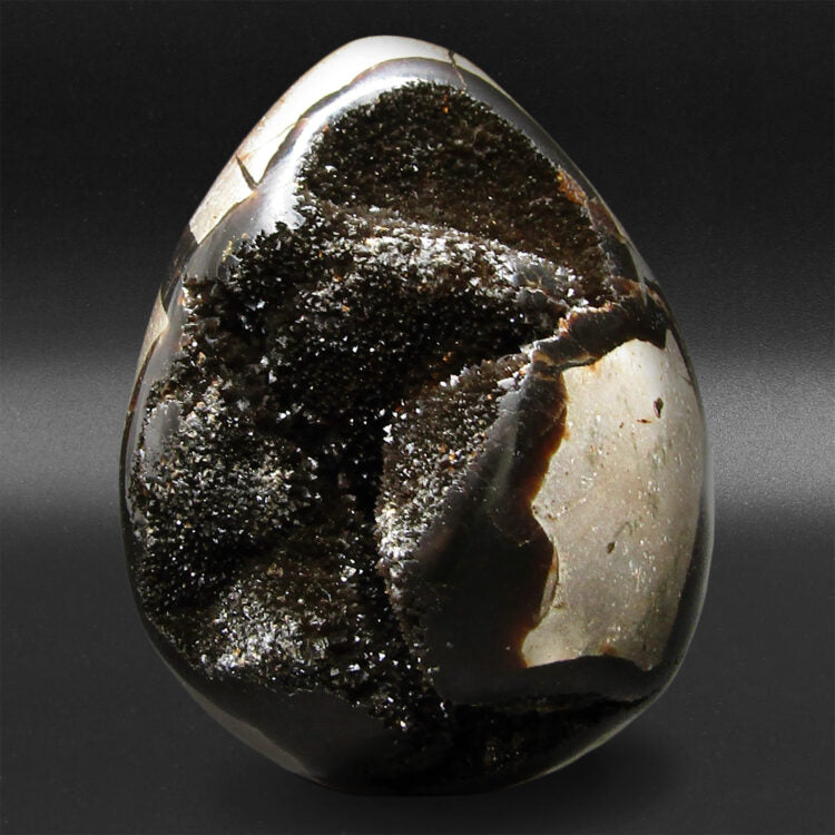 Dragon Egg