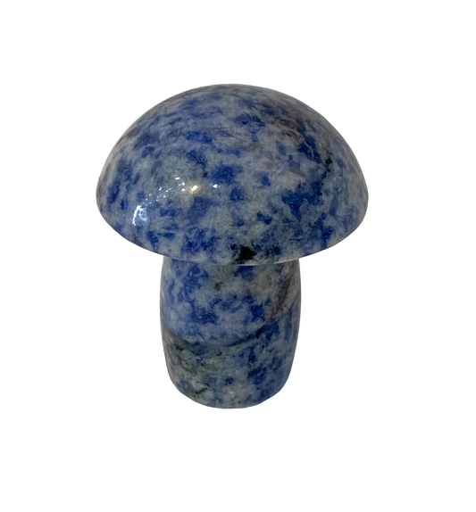 Massage Mushroom - Sodalite