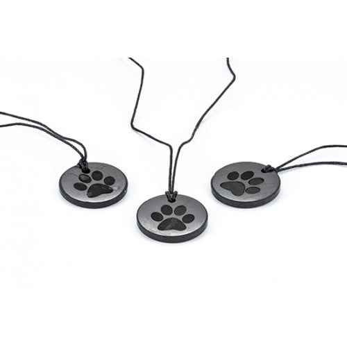 Shungite - Pendant Circle 30 mm  - ''PAW''