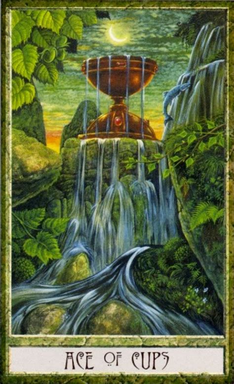 Druidcraft Tarot Deck (New Edition)- Philip & Stephanie Carr-Gomm & Will Worthington