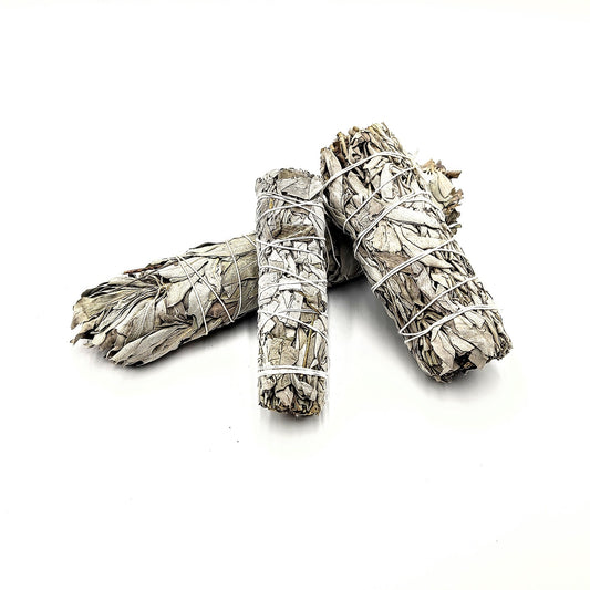 White Sage Bundle