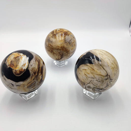 Petrified wood Sphere - Bali