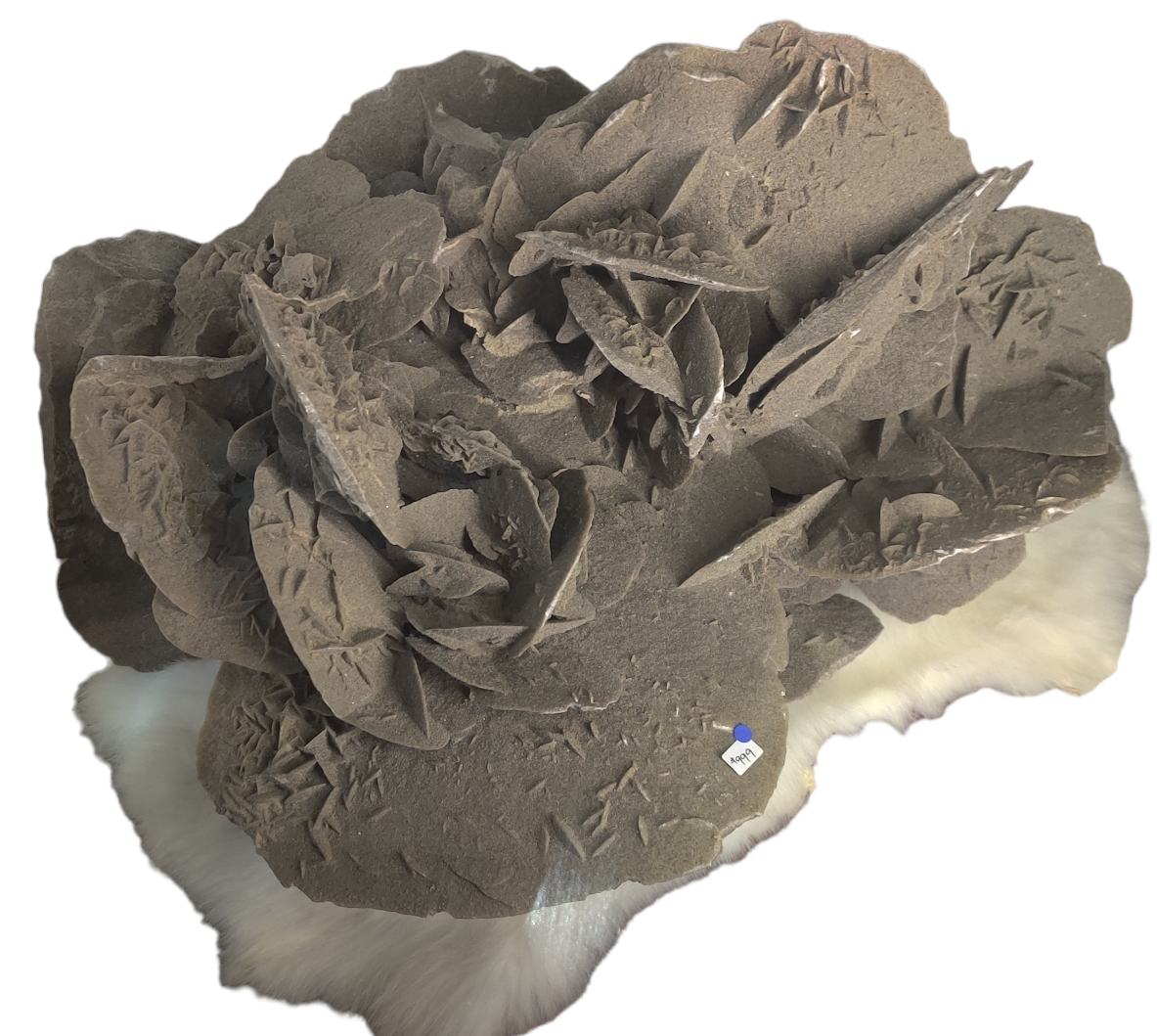 Desert Rose