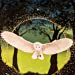 Shamanic Medicine Oracle - Barbara Meiklejohn-Free & Flavia Kate Peters