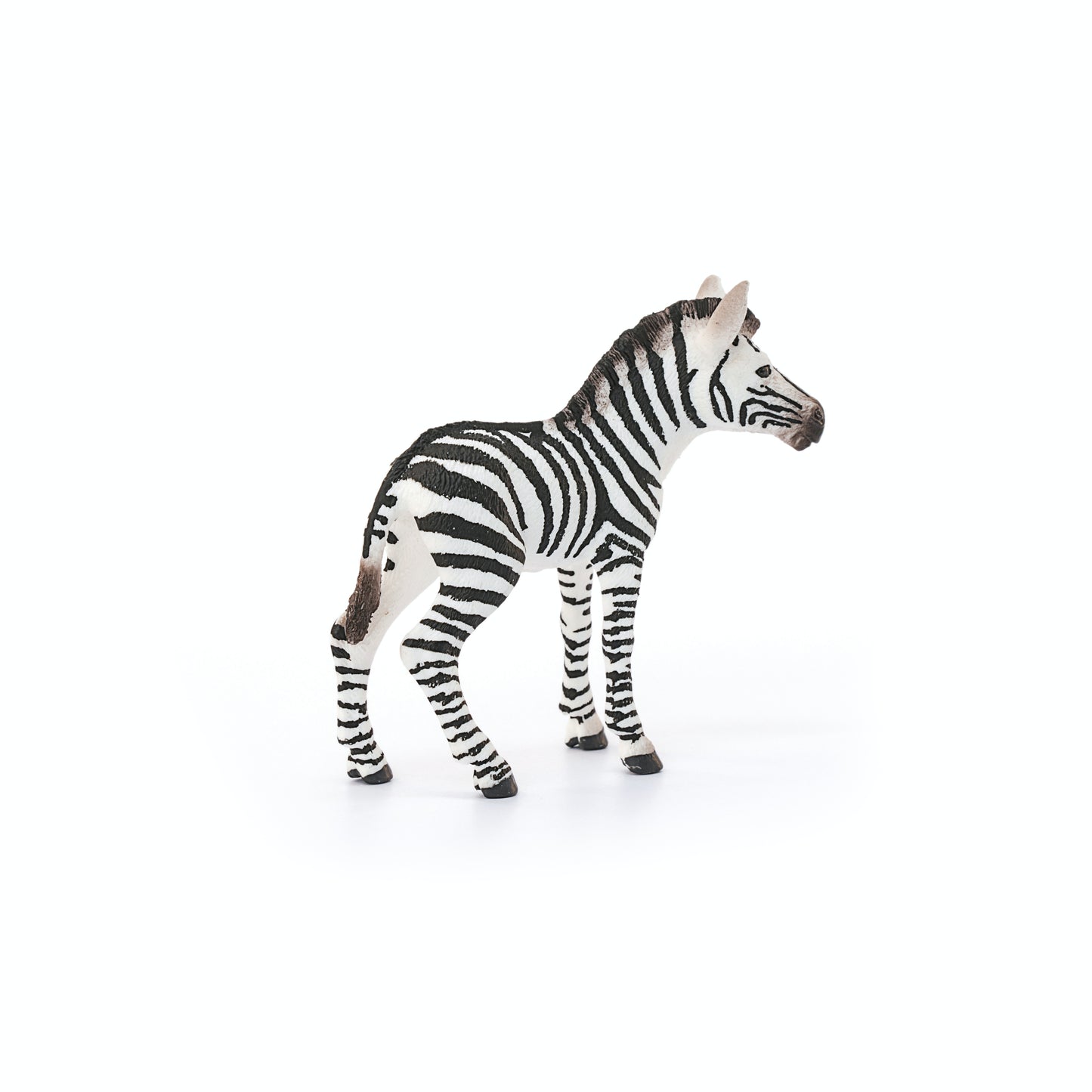 Schleich Zebra Foal