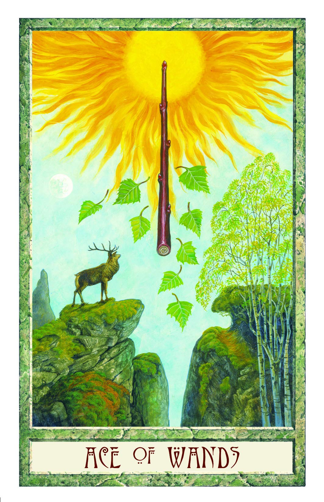 Druidcraft Tarot Deck (New Edition)- Philip & Stephanie Carr-Gomm & Will Worthington