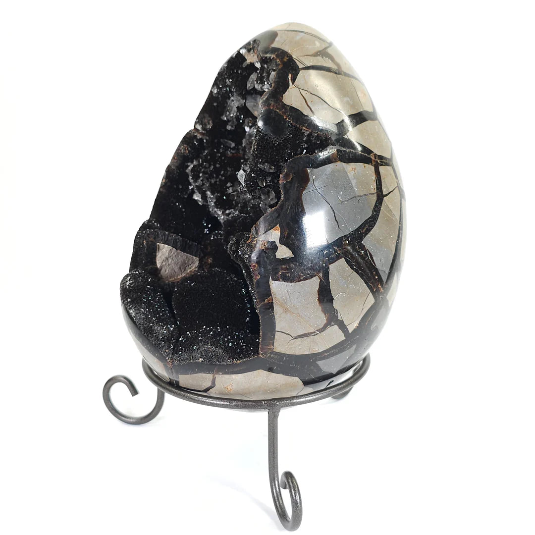 Dragon Egg
