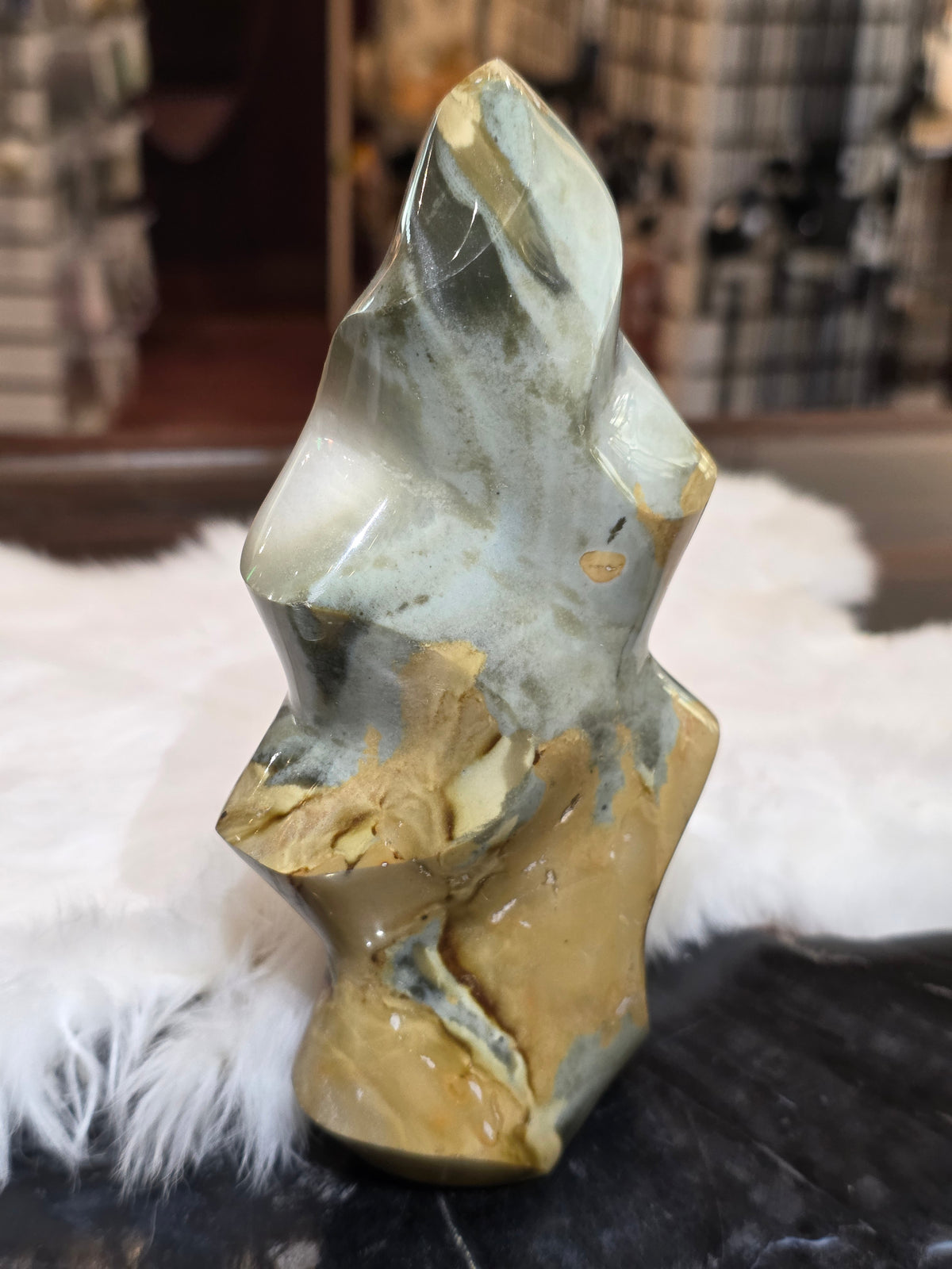 Petrified Wood Polished Statue