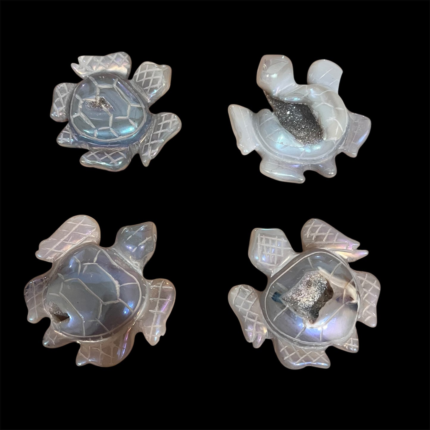 Aqua Aura Turtle