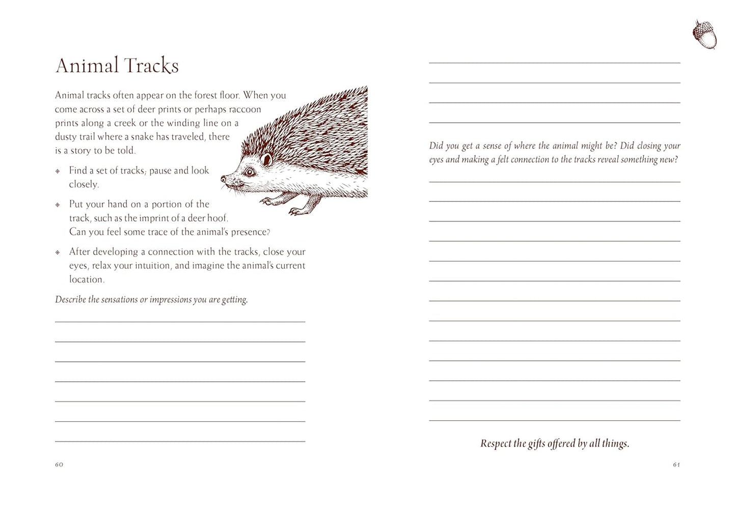 Your Guide to Forest Bathing - A Journal - M. Amos Clifford