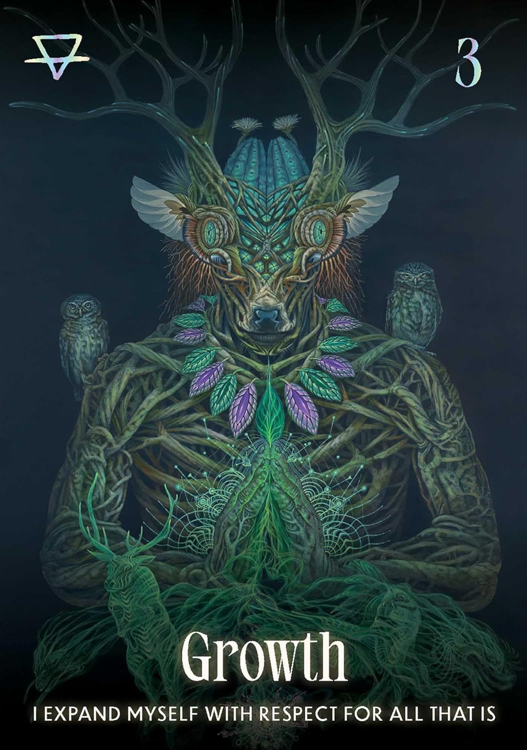 Shamanic Oracle - Luis and Magali Tamani