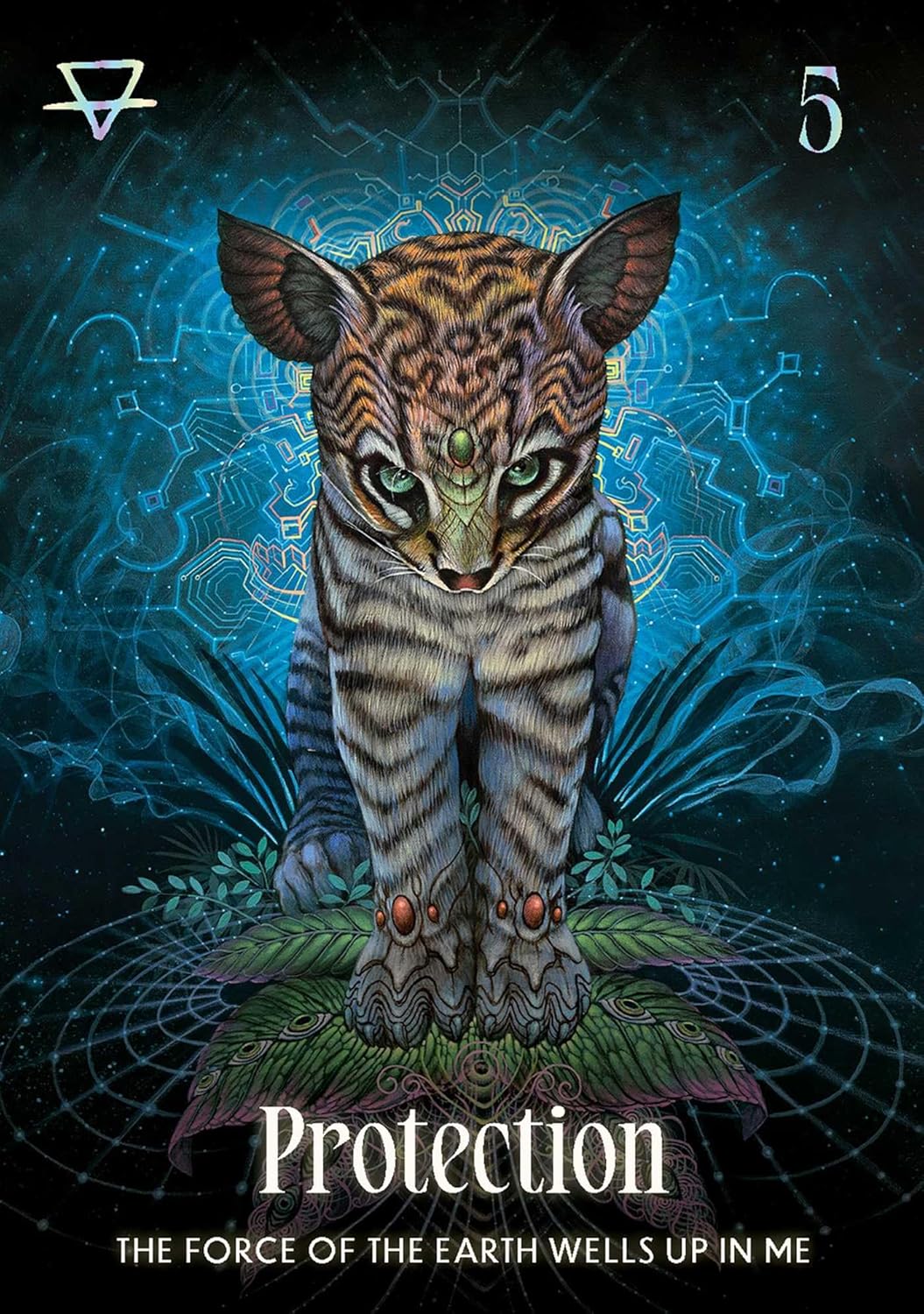 Shamanic Oracle - Luis and Magali Tamani