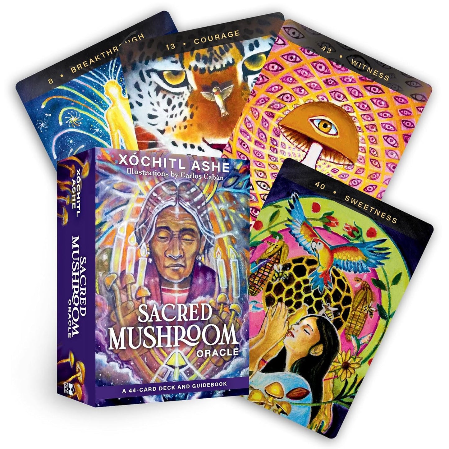 Sacred Mushroom oracle - Xóchitl Ashe