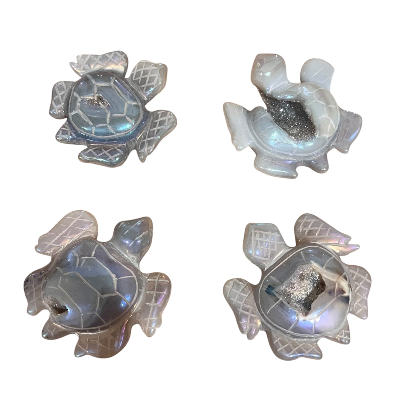 Aqua Aura Turtle