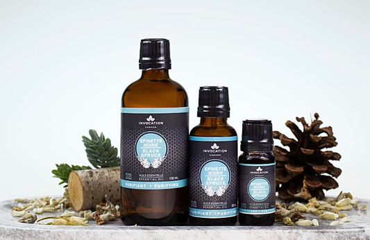 Black Spruce - Essential Oil