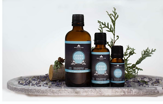 Cedar - Essential Oil
