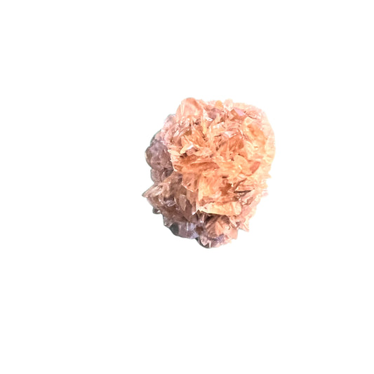 Selenite rosette - Red river Floodway