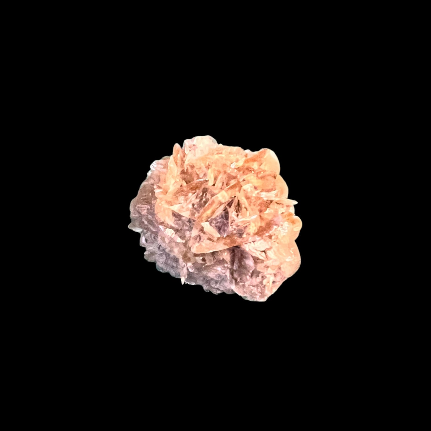 Selenite rosette - Red river Floodway