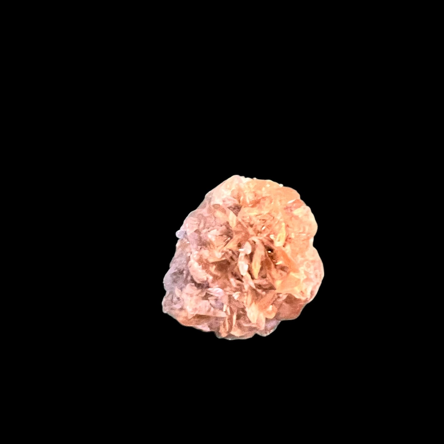 Selenite rosette - Red river Floodway