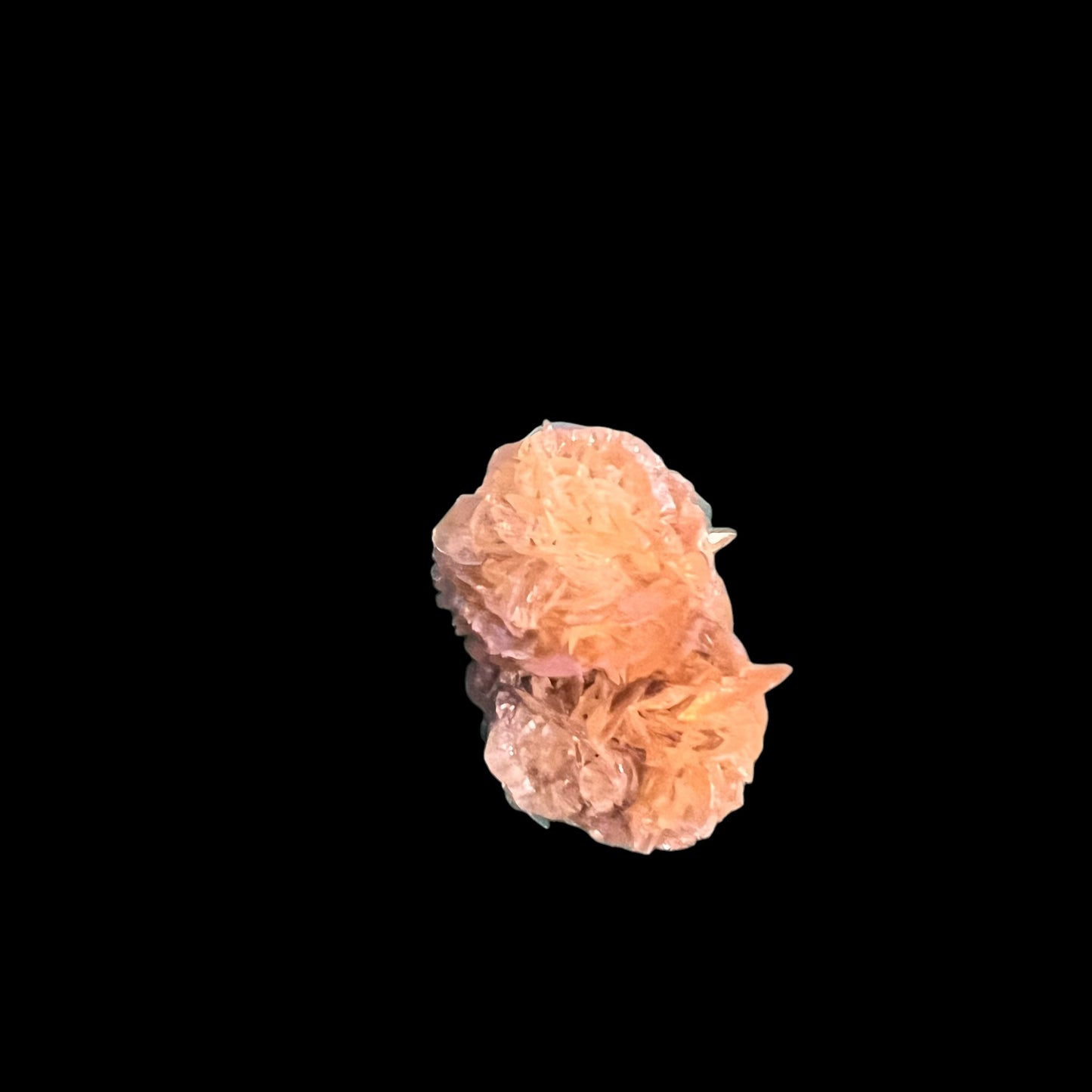 Selenite rosette - Red river Floodway