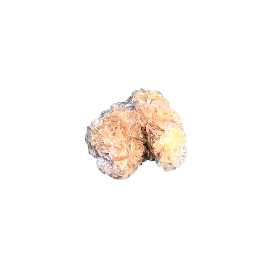 Selenite rosette - Red river Floodway