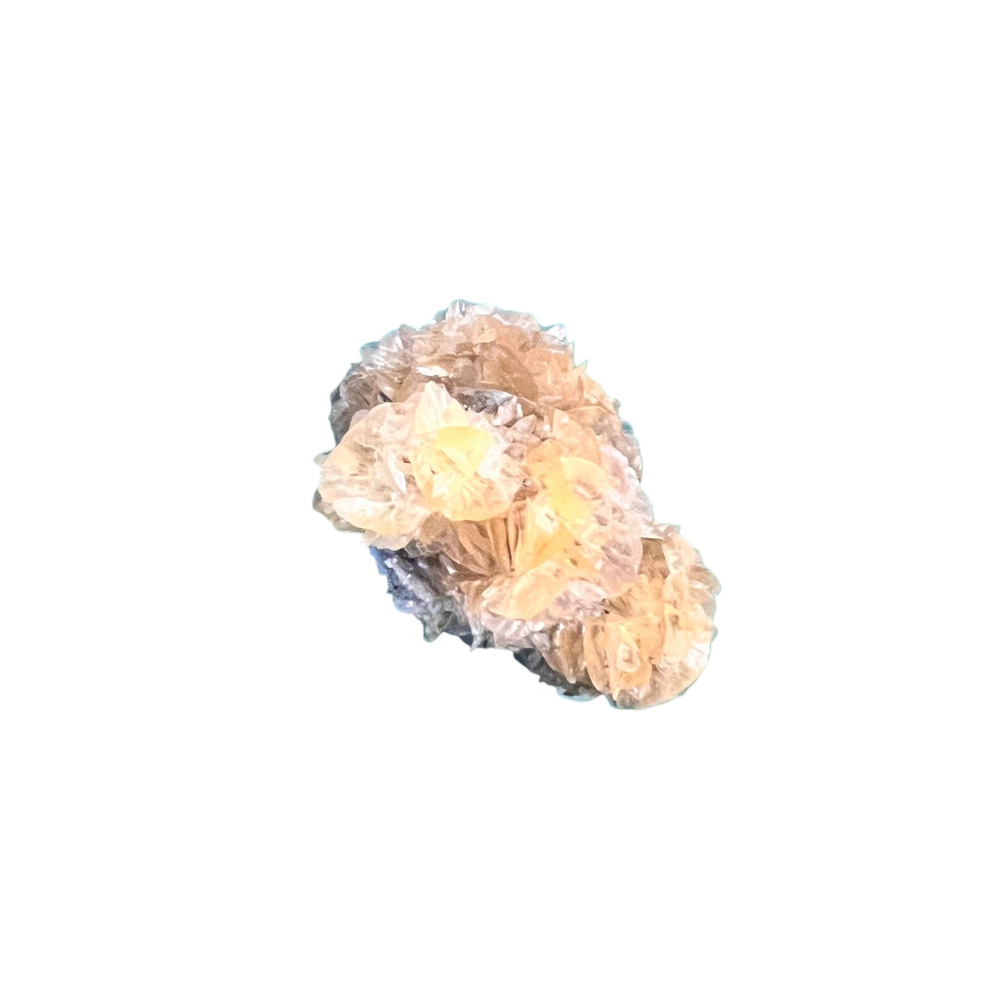 Selenite rosette - Red river Floodway