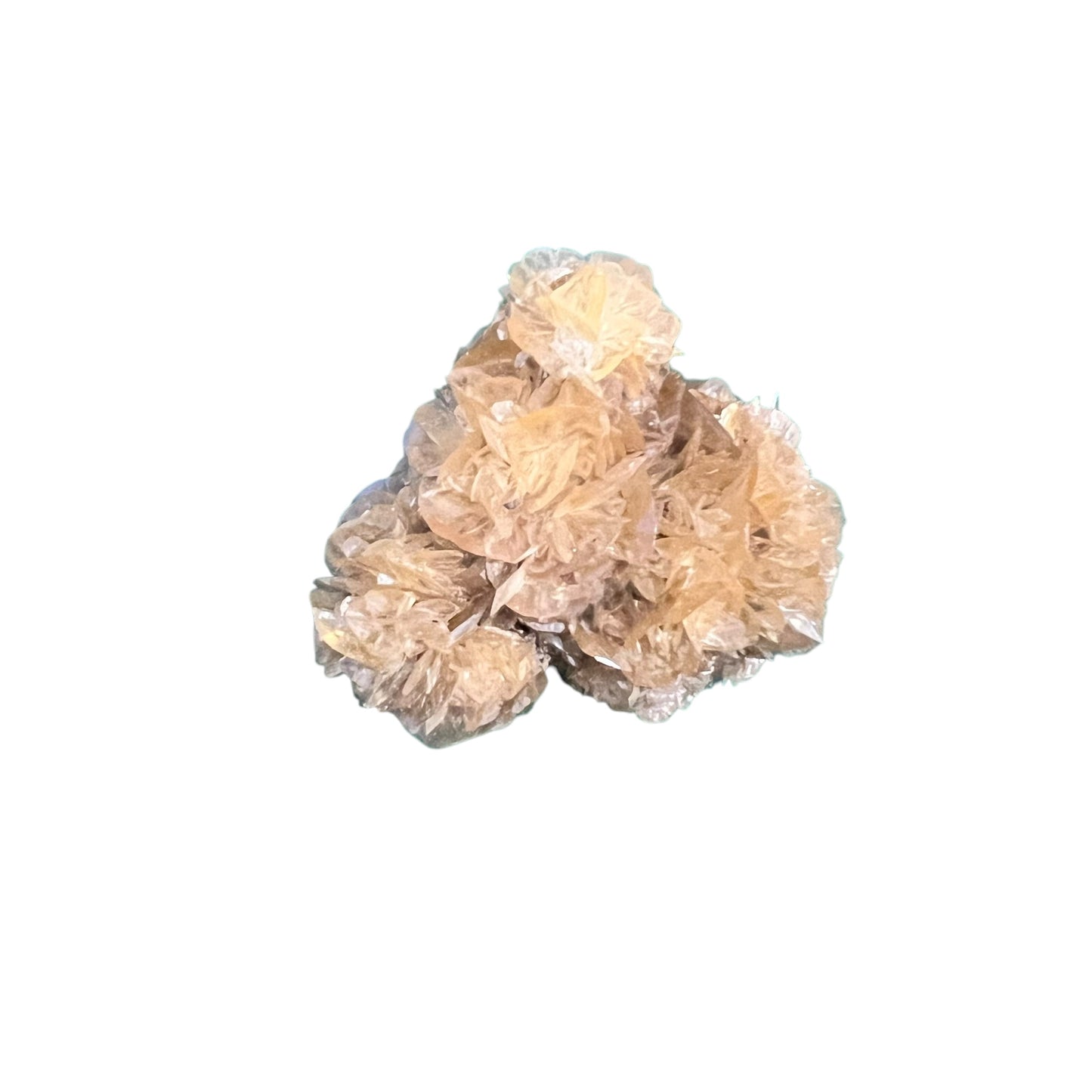 Selenite rosette - Red river Floodway