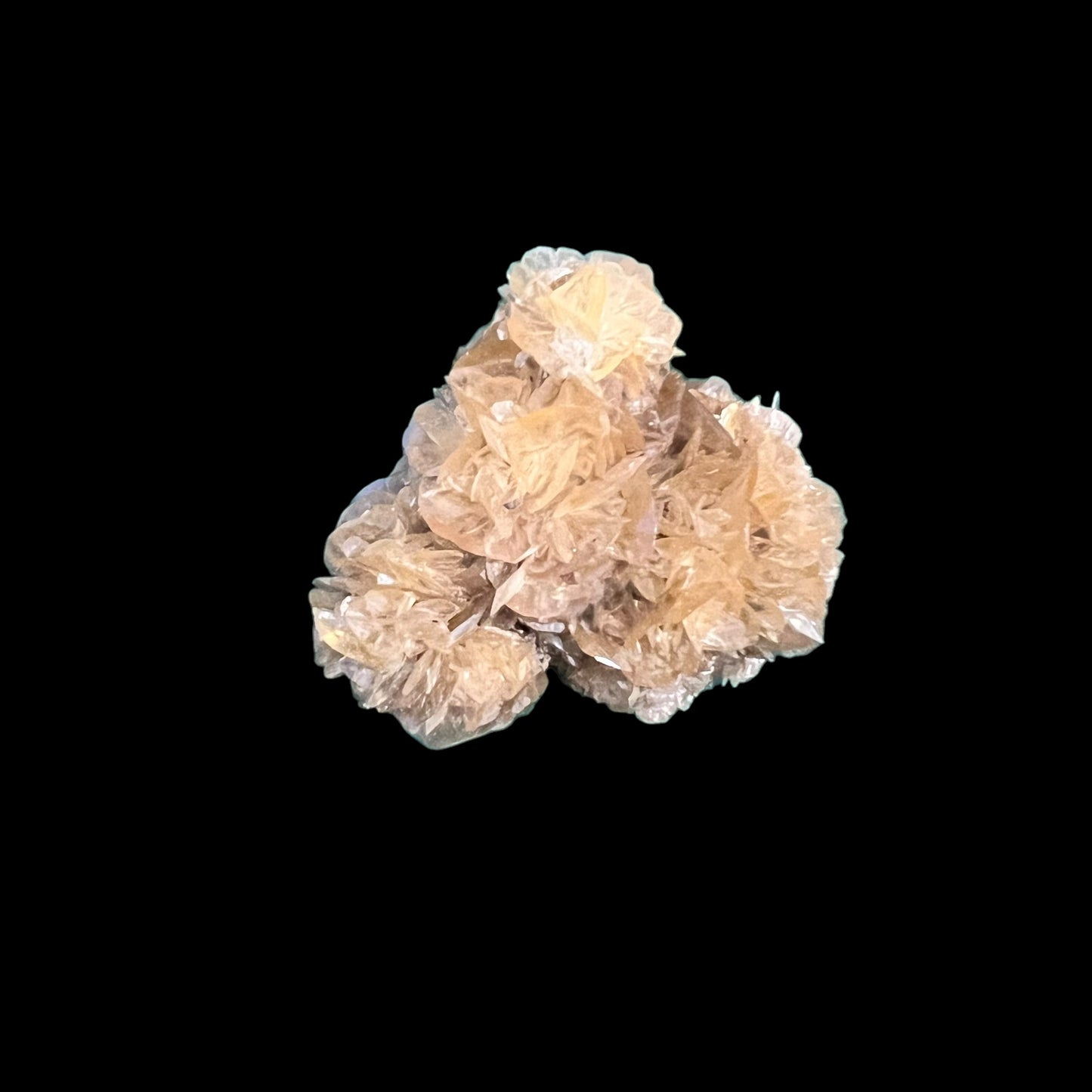 Selenite rosette - Red river Floodway