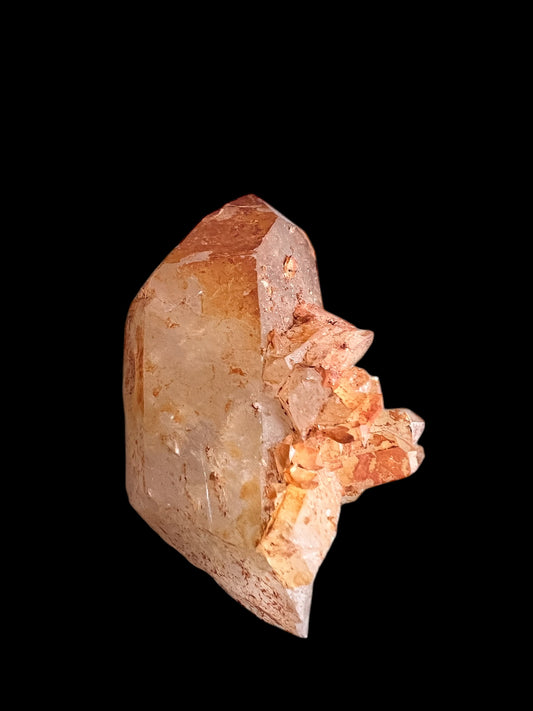 Golden Healer - point