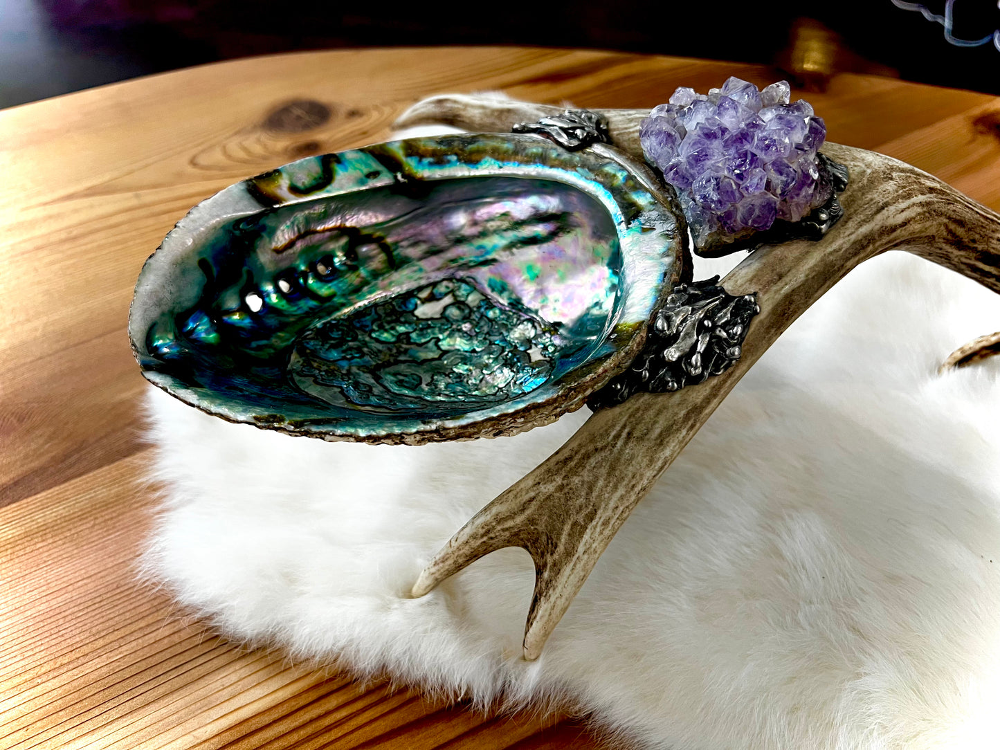 Abalone Shell, Full Deer Antler, Amethyst cluster, Dragon's Blood & tumbled Amethyst  - Smudge Bowl
