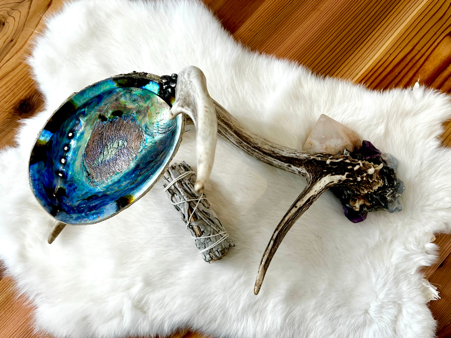 Abalone Shell, Full Deer Antler - Candle Quartz  - Smudge Bowl