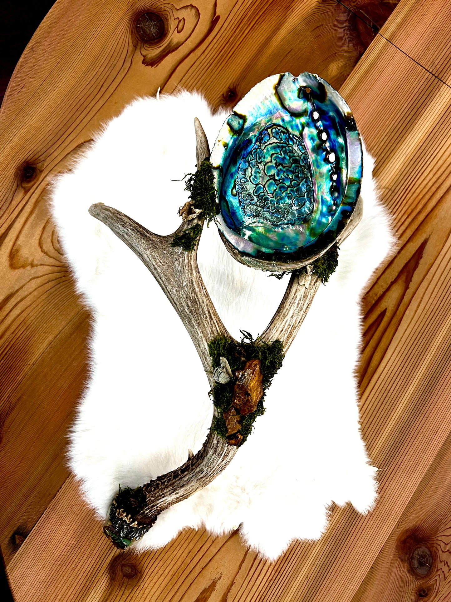 Abalone Shell, Full Deer Antler Large - Moss & Polychrome jasper raw  - Smudge Bowl