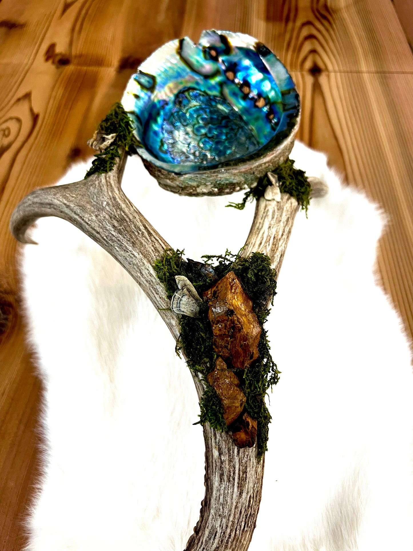 Abalone Shell, Full Deer Antler Large - Moss & Polychrome jasper raw  - Smudge Bowl