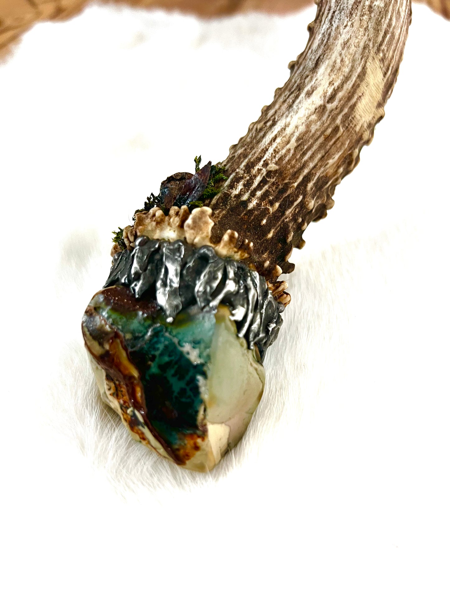 Abalone Shell, Full Deer Antler Large - Moss & Polychrome jasper raw  - Smudge Bowl