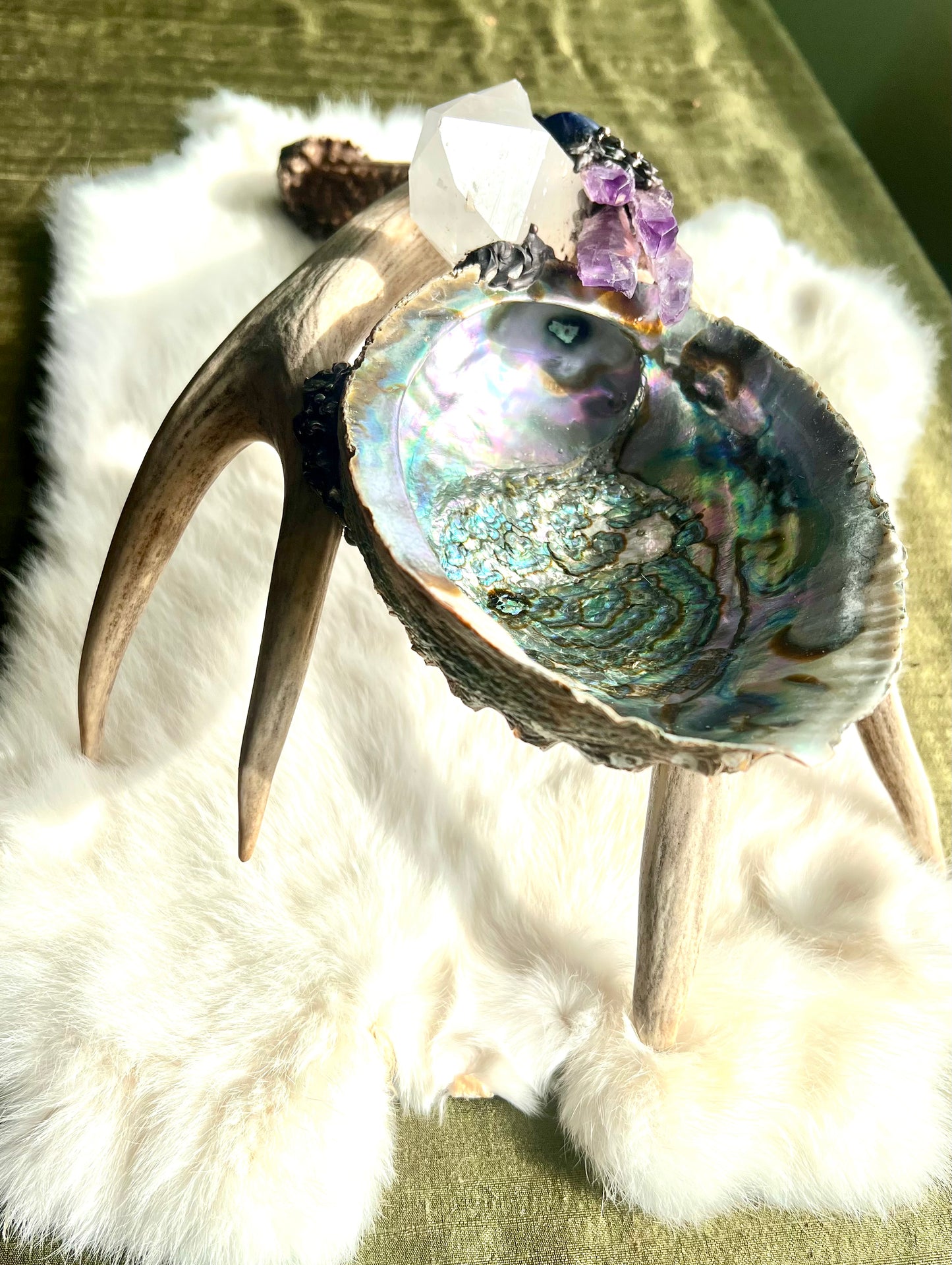 Abalone Shell, Full Deer Antler Large - Shungite, sodalite laser amethyst - Smudge Bowl