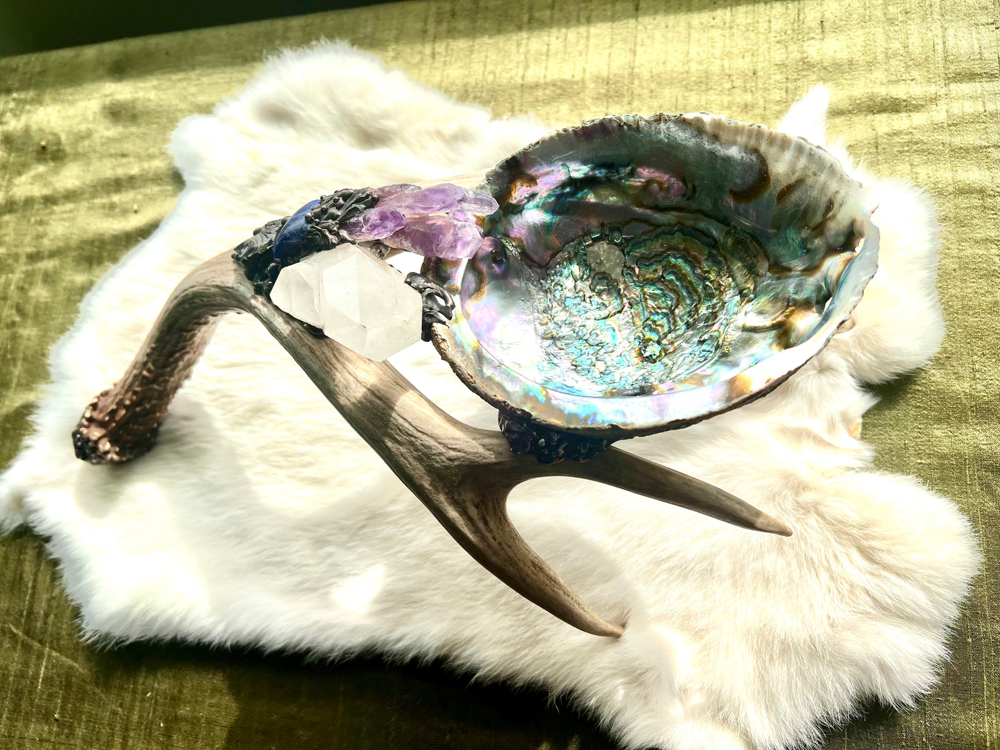 Abalone Shell, Full Deer Antler Large - Shungite, sodalite laser amethyst - Smudge Bowl