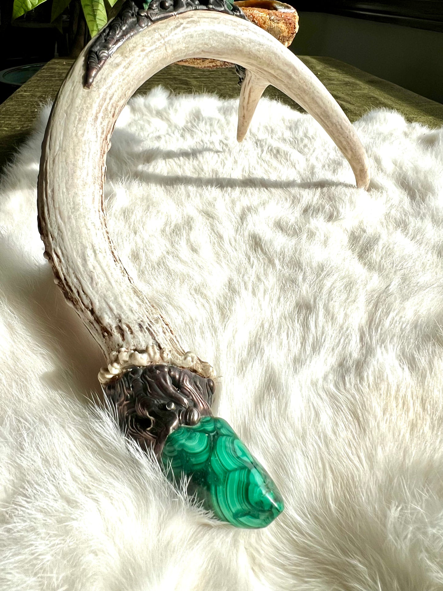 Abalone Shell, Full Deer Antler Medium  - Fibrous Malachite - Smudge Bowl